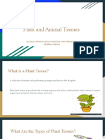 Plant and Animal Tissues: By: Bryce Pimentel, Bruce Pimentel, John Philip Pacho, Matthew Elacion