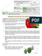 Guia1. Reproduccion en Angiospermas PDF