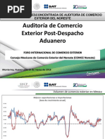 Auditoria de Comercio Exterior PDF