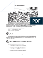 Food Production and Utilization of Plants