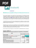 Model Audit Pour Les Flux de Tresorerie Au Format Excel