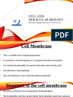 Membrane and Function 1.3