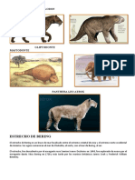 Animales Del Pleitoceno