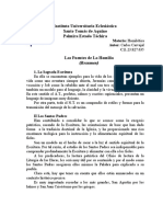 Las Fuentes de La Homilía (Resumen), Carlos Carvajal