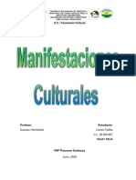 Manifestaciones Culturales