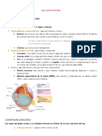 Ojo Histologia Ross PDF