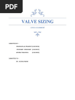 Valve Sizing: Cepde Assignment