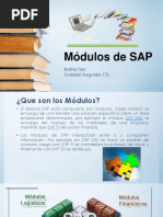 Módulos de SAP-Clase30062020