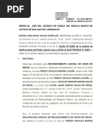 Demanda de Reconocimiento Judicial de Union de Hecho-Solar Gonzales1