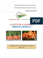 Manual de Cultivo de Zanahoria