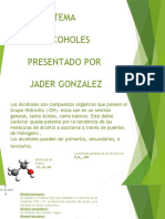 Exposicion Alcoholes