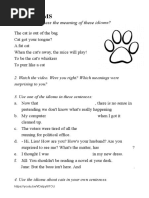 Cat Idioms PDF