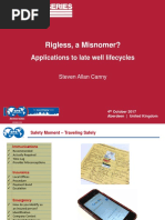 Rigless, A Misnomer?: Applications To Late Well Lifecycles