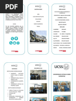 Triptico Ucss