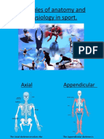 Principles of Anatomy and Physiology in Sport