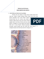 Blefaritis Skuamosa Tinjauan Pustaka