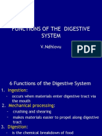 Functions of The Digestive System: V.Ndhlovu