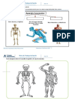 S1 - Ficha de Trabajo de Sesión (FTS) NUESTRO CUERPO SE MUEVE