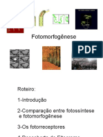 Fotomorfogenese PDF