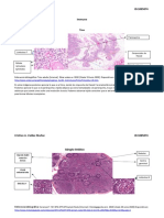 Tarea Imagenes Inmune Arreglada PDF