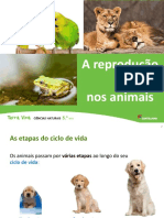 Unidade 9 A Reprodução Nos Animais