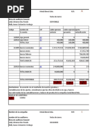 Cedulas Auditoria