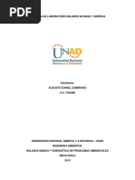 Preinforme Practica de Laboratorio Balance de Masa y Energia