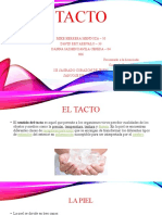 Diapositivas Sobre La Exposicion Del TACTO