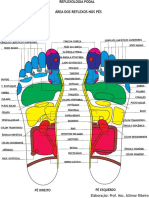 Reflexologia Podal PDF