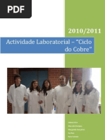 Actividade Laboratorial