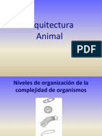 Arquitectura Animal