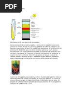 Columna de Winogradsky