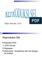 Reproduksi Sel