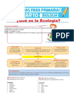 Qué Es La Ecología para Cuarto de Primaria