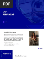 Sap Fi Integral