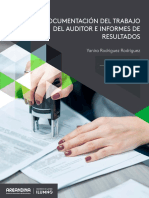 Trabajo Auditor