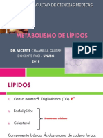 Metabolismo de Lipidos PDF