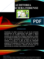 Auditoria Financiera Forense