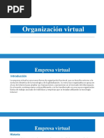 Organización Virtual y Federal