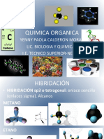 Diapositiva Quimica Organica