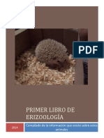 Cuidados de Erizo de Tierra PDF