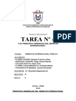 Tarea N°4 Principios Generales Del Derecho Internacional