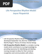 Life Perspective Rhythm Model Joyce Fitzpatrick