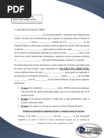 Demanda Mercantil PDF