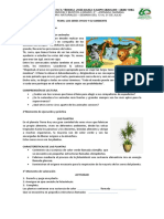 TEMA Naturales Los Seres Vivos y Su Ambiente Grado 2° Del 13 Al 31 de Julio