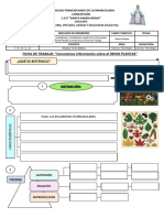 Guía de Trabajo - Reino Plantae