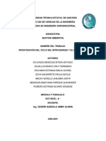 Ciclo de N y F PDF