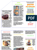 BROWNIE-FORTIFICADO (1) .PDF OFICIAL