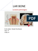 Alveolar Bone: and It's Associated Pathologies