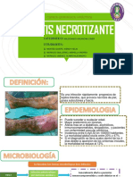 Fascitis-Necrotizante-Grupo 1-Exposición